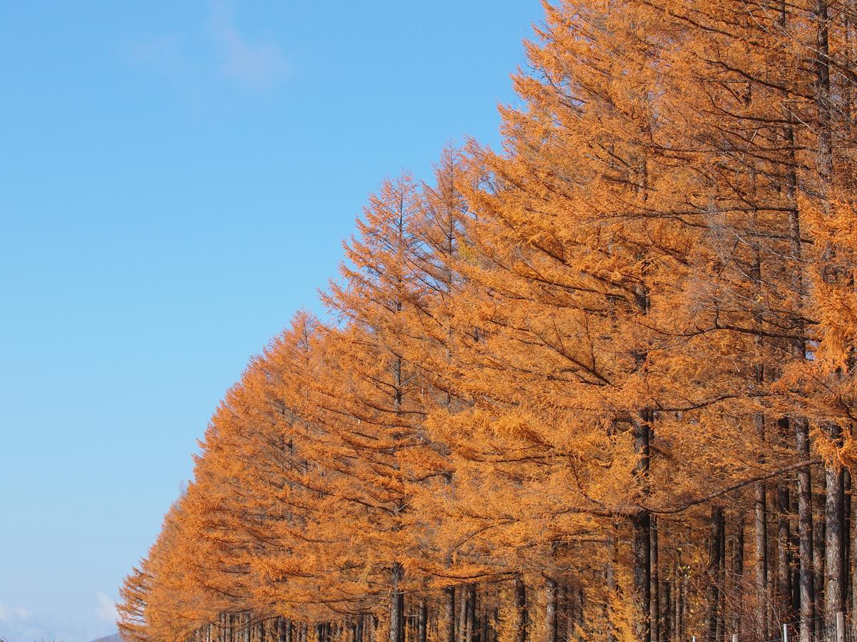 Log Hotel Larch Lake Kanayama Minamifurano Экстерьер фото